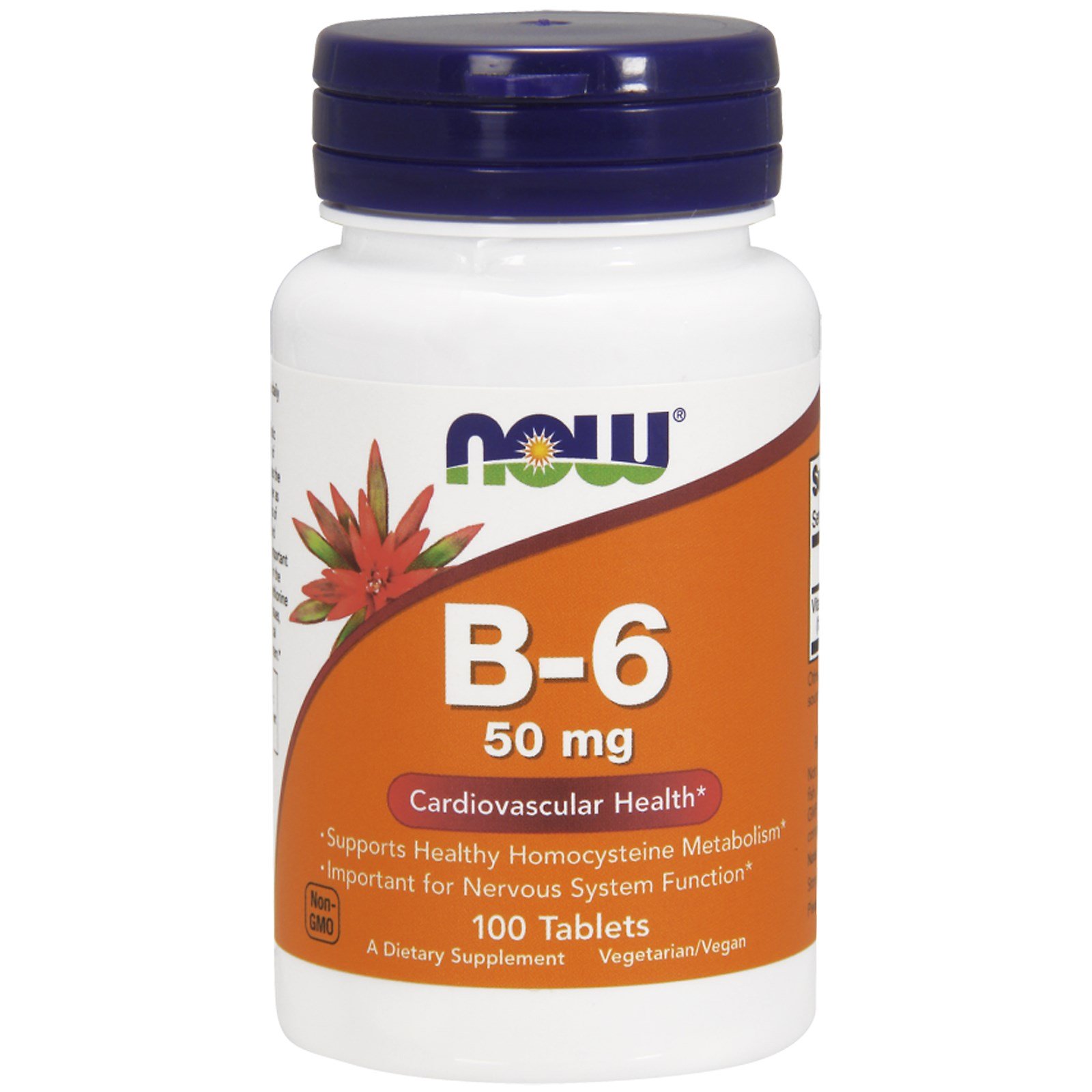 B-6, Витамин В-6, Пиридоксин 50 мг - 100 таблеток