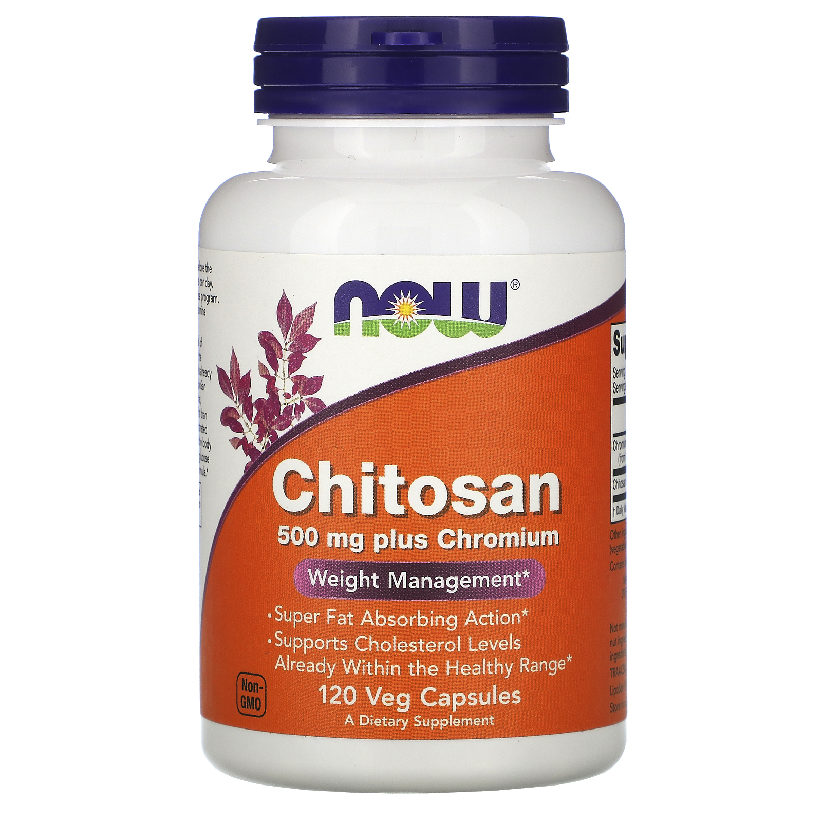 Chitosan with Chromium, Хитозан 500 мг + Хром - 120 капсул
