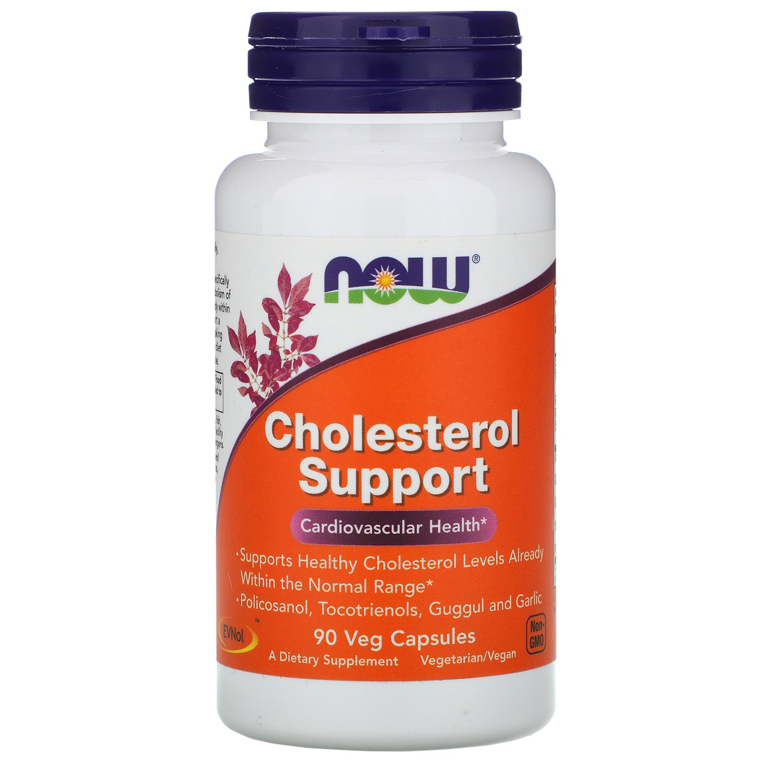 Cholesterol Support, Регулятор Уровня Холестерина - 90 капсул