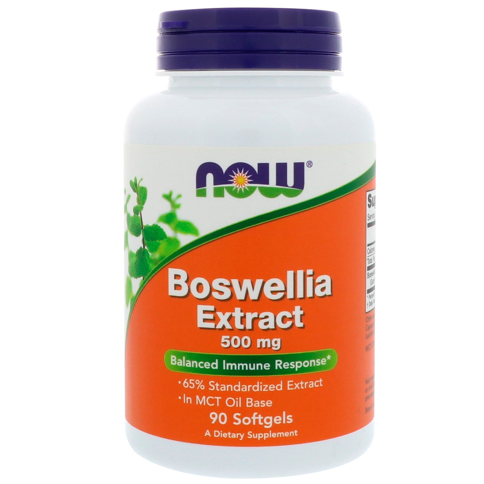 Boswellia Extract, Босвеллия Экстракт 500 мг - 90 капсул