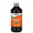 Elderberry Liquid, Бузина 500 мг в Жидкой Форме - 237 мл